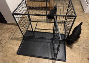 Klatka kennelowa mocna spawana malowana proszkowo