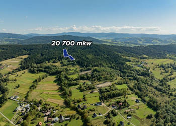 Działka leśna 20 700 m² – Kasina Wielka