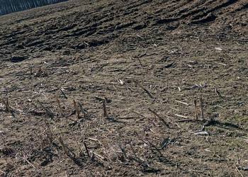 Działka z warunkami zabudowy