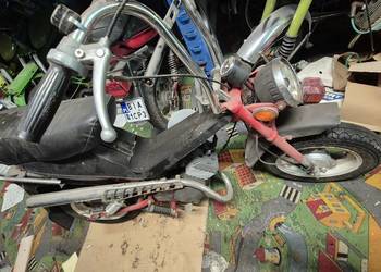 Motorynka stella zarejestrowana