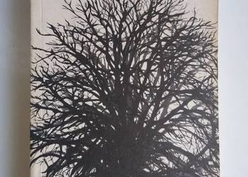 Twarz Boga Jan Drzeżdżon