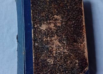 Kwiatki św. Franciszka z Asyżu. Inst. Wyd. Bibljoteka Polska, 1910r.Wyd.I.