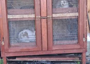 Sprzedam klatkę na króliki.