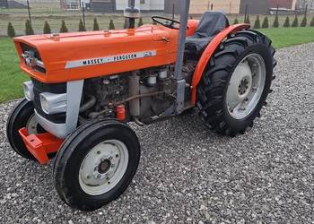 Massey Ferguson 140(135,235) sadowniczy