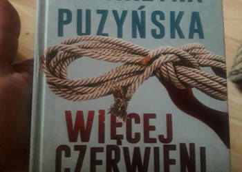 Więcej czerwieni Część 2 Katarzyna Puzyńska