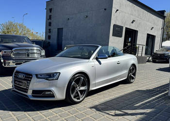 Audi S5 Cabrio 3.0 TFSI El dach Bixenon Bang&Olufsen