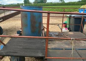 Scielarka do truskawek