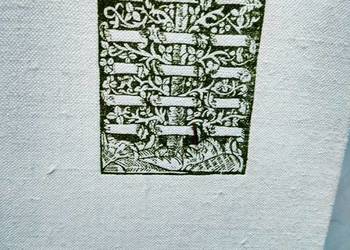 Jadwiga i Jagiełło historyczne książki outlet