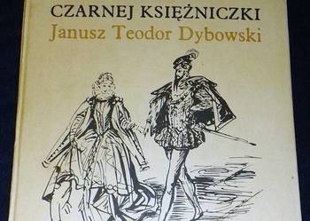 Wieża czarnej księżniczki - Janusz Teodor Dybowski