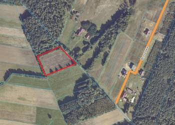 Działka budowlana 57 arów przy lesie – cisza, spokój, świetna lokalizacja!