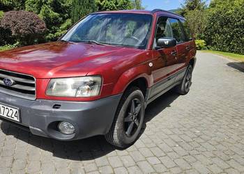 Subaru Forester 2.0 Lift