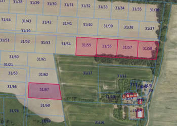 Działki 31/55 i inne w miejscowości Grabowno Wielkie