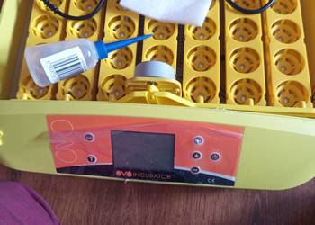 Inkubator OVO automatyczny  42 jaja