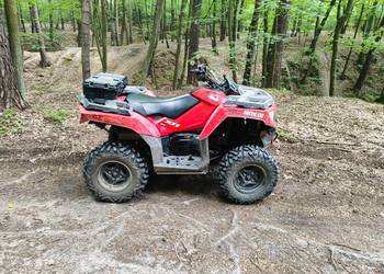 Arctic Cat 500 XR