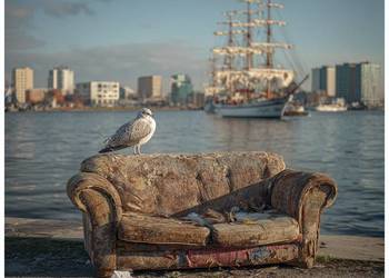 Wywóz mebli ze zniesieniem Gdynia opróżnianie mieszkań 665-982-692