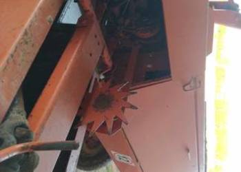 Prasa sipma