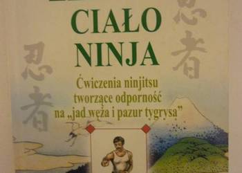 ŻELAZNE CIAŁO NINJA - ASHIDA KIM