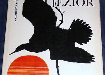 Ziemia puszcz i jezior - Kazimierz Saysse-Tobiczyk