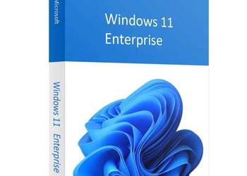 Microsoft Windows 11 Enterprise