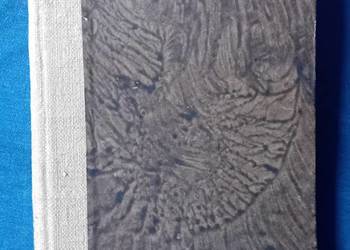 Stefan Arski. Cień nad ojczyzną Roosevelta. SW Wiedza, 1948 r. Wydanie I. Stefan Arski. Cień nad ojczyzną Roosevelta. SW Wiedza, 1948 r. Wydanie I.