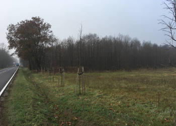 Działki budowlane 5szt + 6 działek rolnych z MPZP, Choiny gm. Parysów