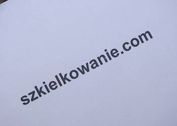 SZKIELKOWANIE.COM domena