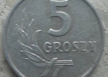 POLSKA-5 GROSZY-1962 r (b.z.)-AL-