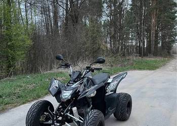 Aeon Cobra 351 2600 km