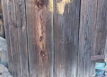 Stare deski, stare drzewo