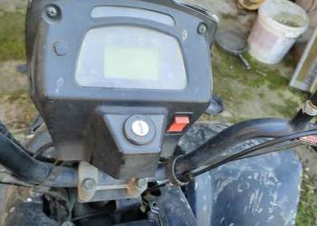 Quad Bashan 150