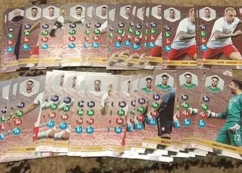 Dumni z naszych karty do albumu z Biedronki