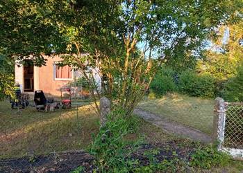 Na sprzedaż działka ROD  – Szczecin Krzekowo