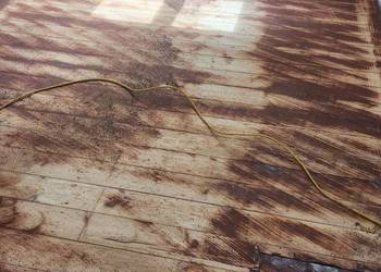 Cyklinowanie układanie parkiet panele vinyl Cyklinowanie układanie parkiet panele vinyl