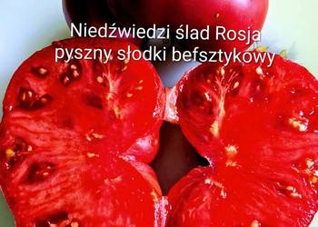 Niedźwiedzi Ślad