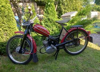 Komar 2320-sztywniak