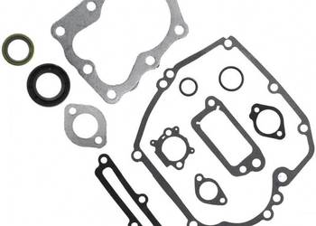 Zestaw Uszczelek Briggs&Stratton Quantum