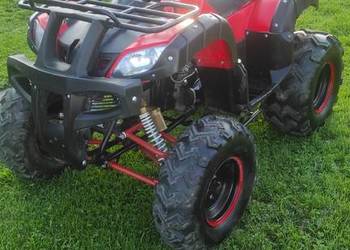 Quad 250