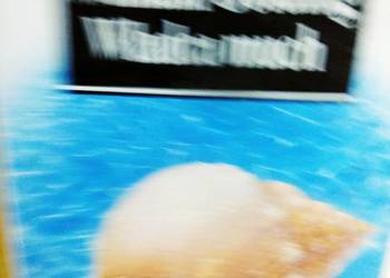 Władca much Golding książki używane antykwariaty