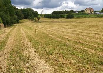 Oferuję atrakcyjne działki budowlane o różnych powierzchniach.