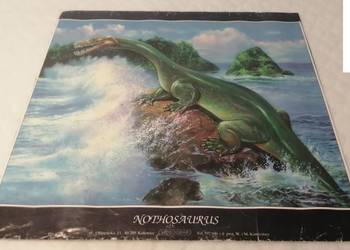 Plakat Nothosaurus, Videograf, 33,5cm x 33cm (Kolekcje. Plakaty)