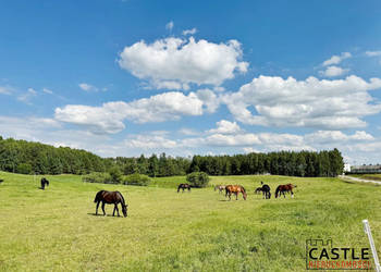 Gowidlino I pod budowę I spokojna okolica I w pobliżu stadnina koni