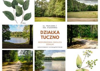 Wyjątkowa nieruchomość w Puszczy Zielonka – Tuczno, gm. Pobiedziska!