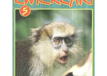 „Zwierzaki” nr 5 (17), maj 1993