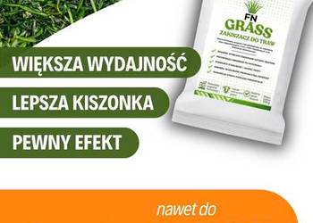 ZAKISZACZ DO TRAW FN GRASS