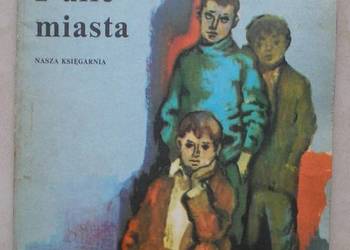 Chłopcy z ulic miasta - Halina Górska