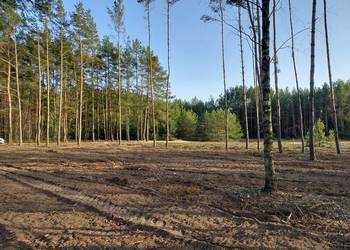 Rogóźno 1261m2 piękna działka blisko rzeki i lasu