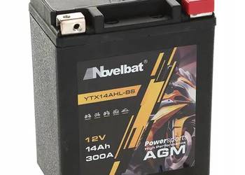 Akumulator NOVELBAT YTX14AHL-BS 12V 14Ah 300A P+