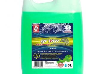 Letni płyn do spryskiwaczy 5L GROM Premium