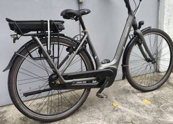 Gazelle Orange C8