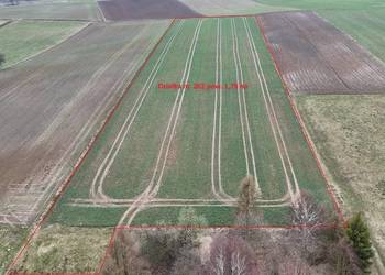 Piękna działka-Minoga